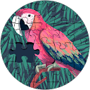 染谷謙二 染谷謙二